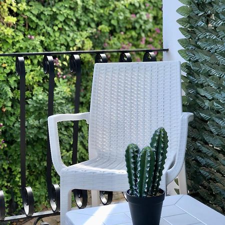 Villa Rosa Rooms Ischia Dış mekan fotoğraf