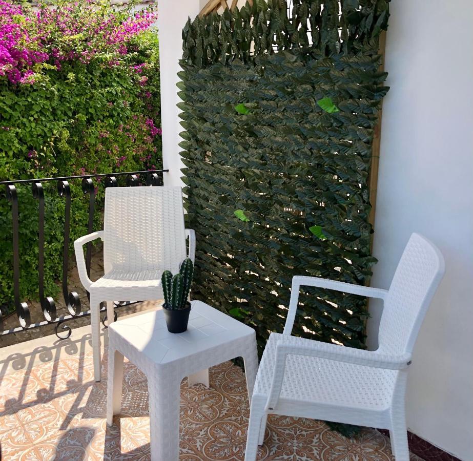 Villa Rosa Rooms Ischia Dış mekan fotoğraf